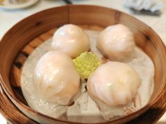 -南海渔村(珠江新城店)
