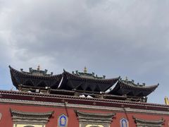 -塔尔寺-菩提树
