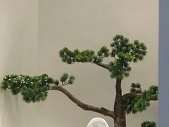 -茶小点(丽悦新天店)