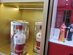 -五粮液(浦东大道店)