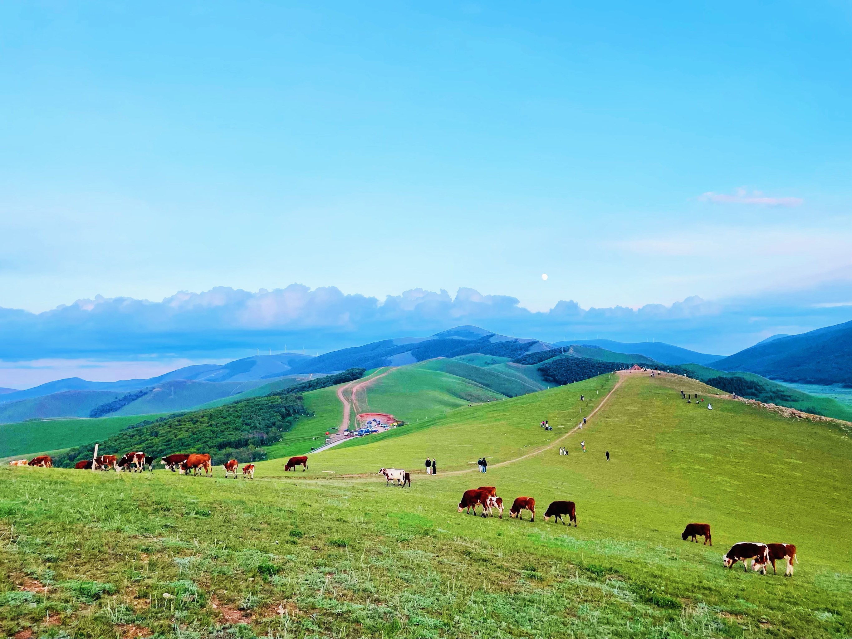 云中草原风景区图片