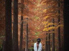 -广州市帽峰山景区
