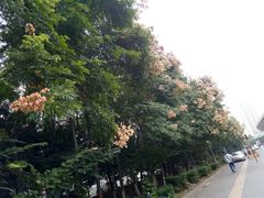 -雅致丽泊洗浴·颜系轻色SPA·足道(未央店)