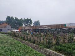 -夏河溪乡野公园