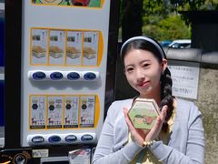 -奈良公园