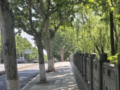 -颛桥紫薇花园