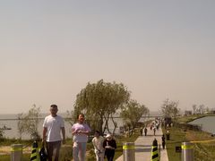 -合肥滨湖国家森林公园