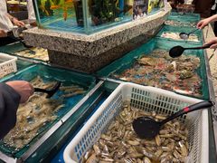 -初色海鲜自助(万丰路店)