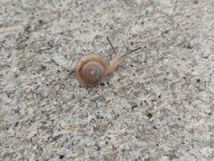 -唐山抗震纪念碑广场