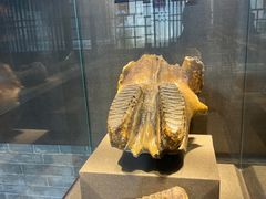 -丁村民俗博物馆