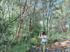 -碓臼峪自然风景区