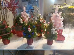 -花未央花店·WEYOUNG