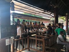 -清迈夜间动物园