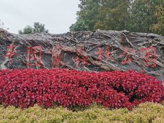 -东平国家森林公园