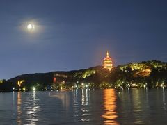 -西湖外事游船(花港观鱼码头)