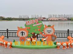 -上海长兴岛郊野公园