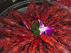 -京悦南门涮羊肉·羊蝎子火锅(田林路店)