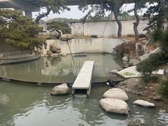 -得丘礼享谷·玉兰苑