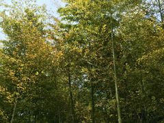 -苏州河梦清园环保主题公园