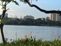 -顺峰山公园