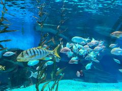 -泉城欧乐堡海洋极地世界