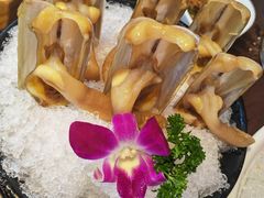 -东海怡品海鲜豆捞(舟宿夜江店)