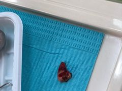 -青岛市口腔医院(总院)