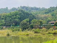 -孔雀湖生态旅游区