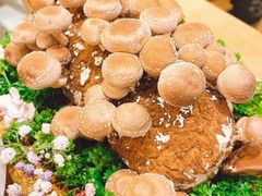 活体松香菇-湯系·煲汤手艺人(东二环泰禾广场店)