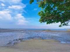 -集美学村