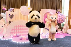 -觅糖派对·宝宝宴生日宴一站式派对策划(河西店)