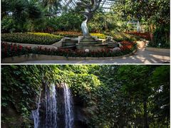 -南山植物园