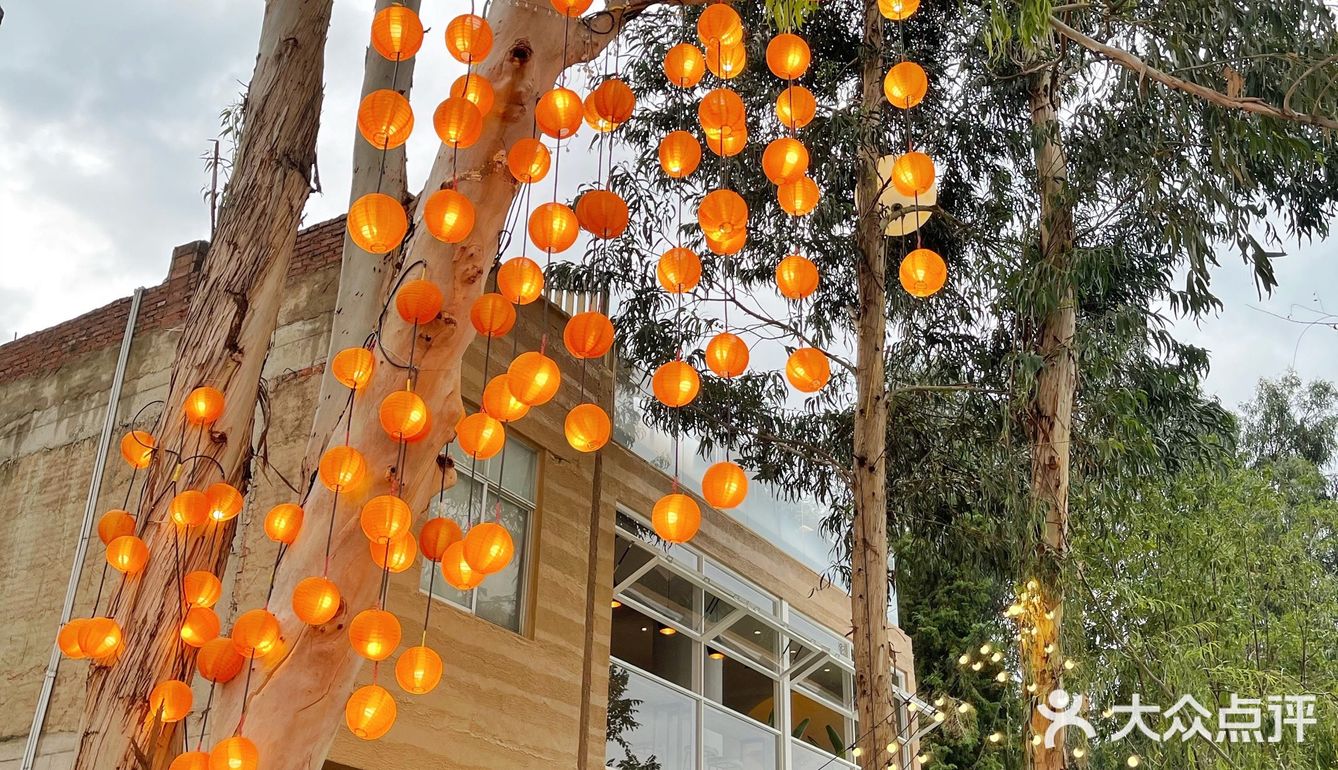 穿过上帝为你打开的窗和门，来看树与海