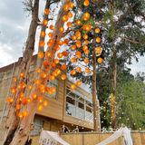 穿过上帝为你打开的窗和门，来看树与海