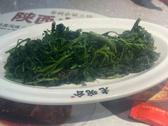-老碗会·陕西手工面(燕南路店)