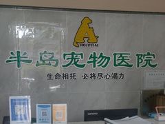 -半岛宠物医院24小时(科华中路店)