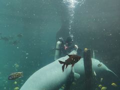 -珠海长隆海洋王国