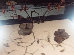 -柴务处·柴犬主题狗咖