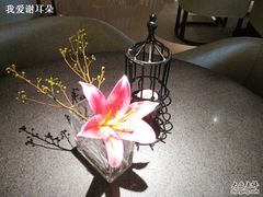 -抚仙湖万达文华酒店