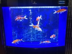 景观位-蓟都宴
