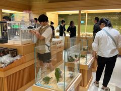 -帕帕拉兹宠物(亚洲旗舰店)