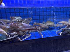 -徐记海鲜(大雁塔|金都店)