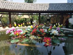 -太白山御龙湾温泉