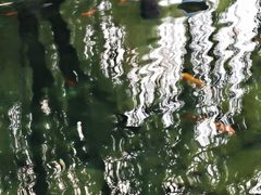 -环城公园