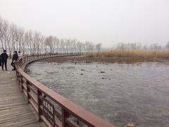 -绿堤公园