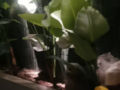 -涟LIAN·泰式按摩·MASSAGE·SPA(华强北店)