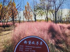 -东郊湿地公园