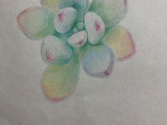 -金栗王(清扬路店)