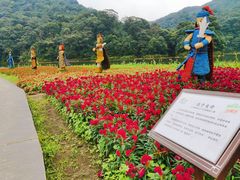 -广州市石门国家森林公园