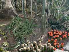 -南山植物园